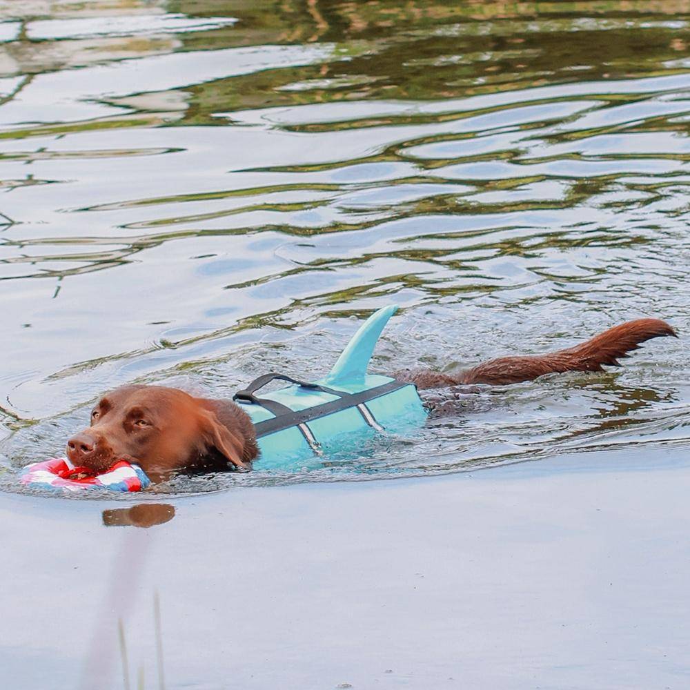 Hunde Schwimmhilfe "Sharki" hellblau Größe: L - 40 cm | Nobby