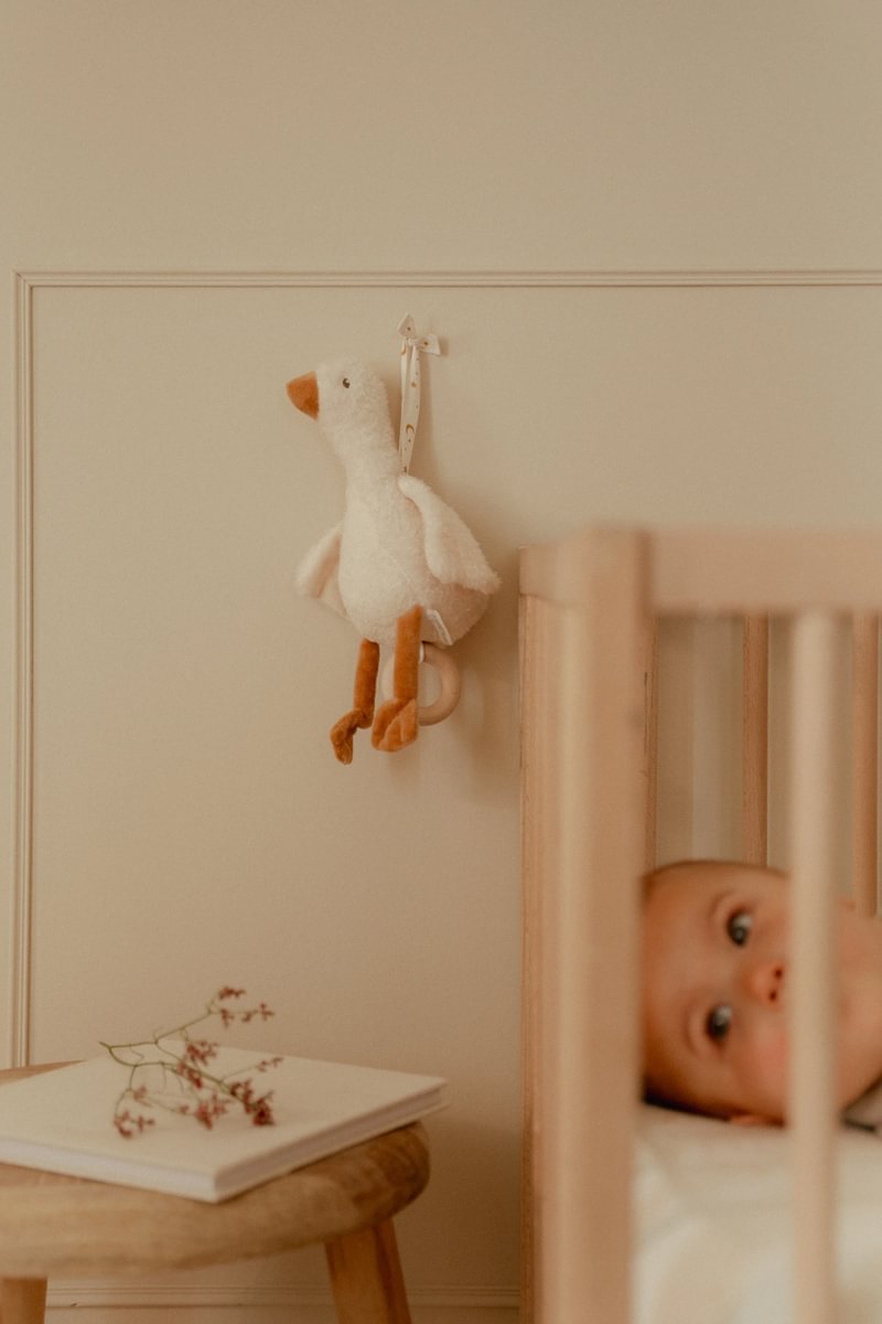 Boîte à musique Little Goose GRS