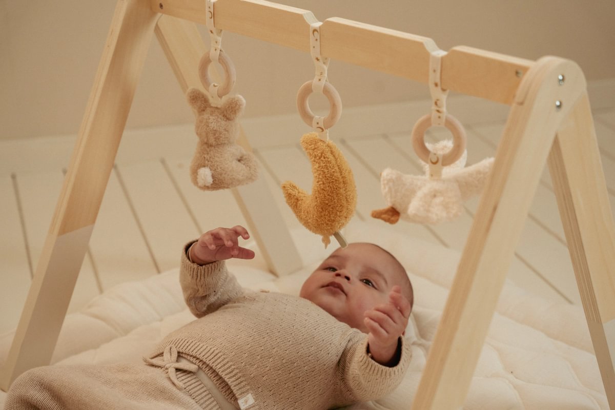 Newborn Naturals Play Gym for Babies | Schmatzepuffer