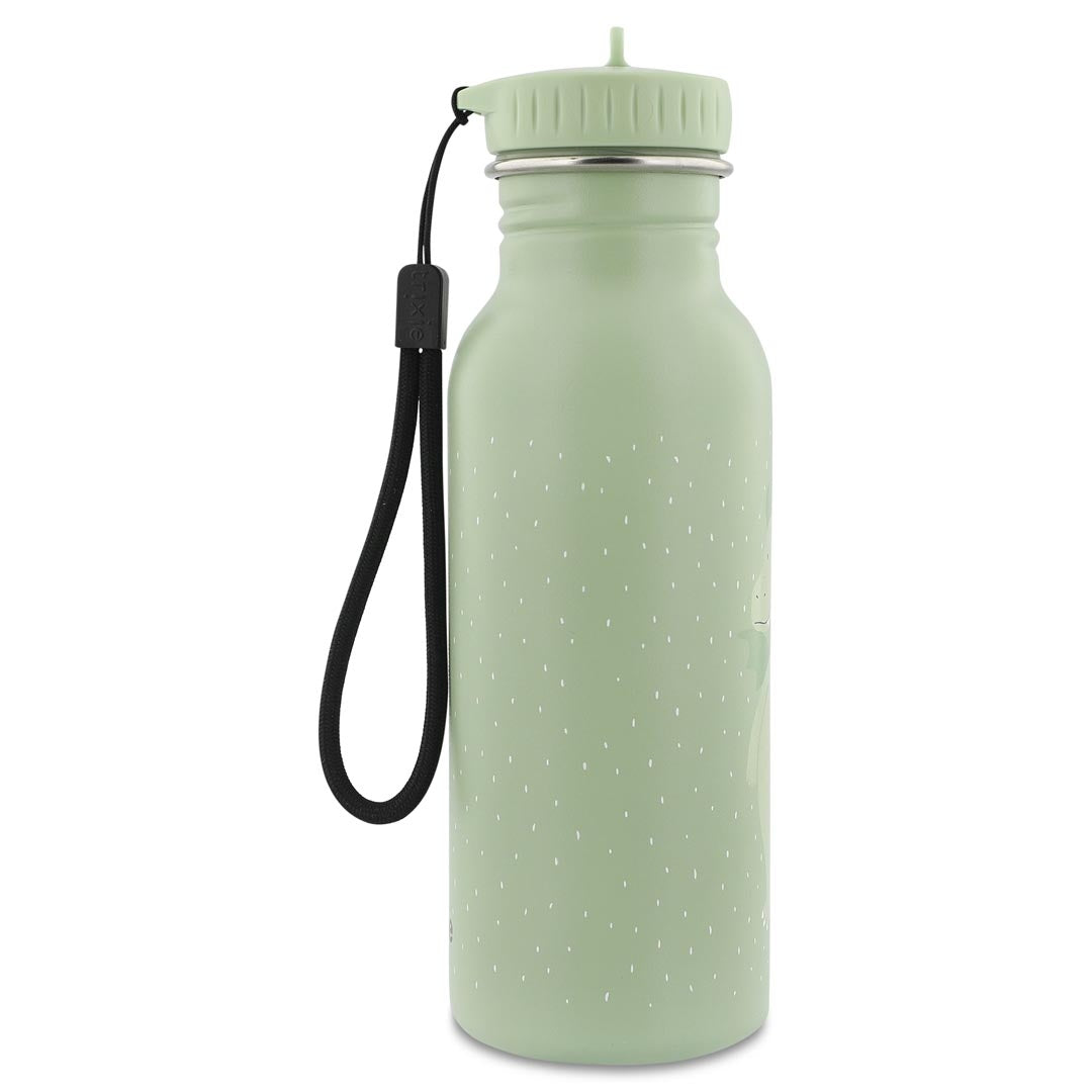 500ml Water Bottle - Mr. Dragon | Trixie