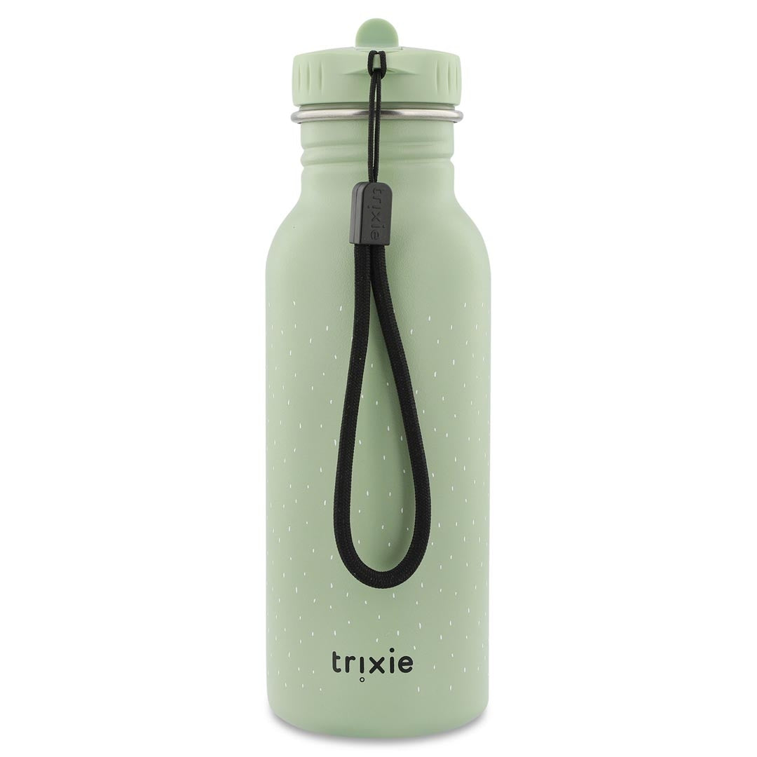 500ml Water Bottle - Mr. Dragon | Trixie