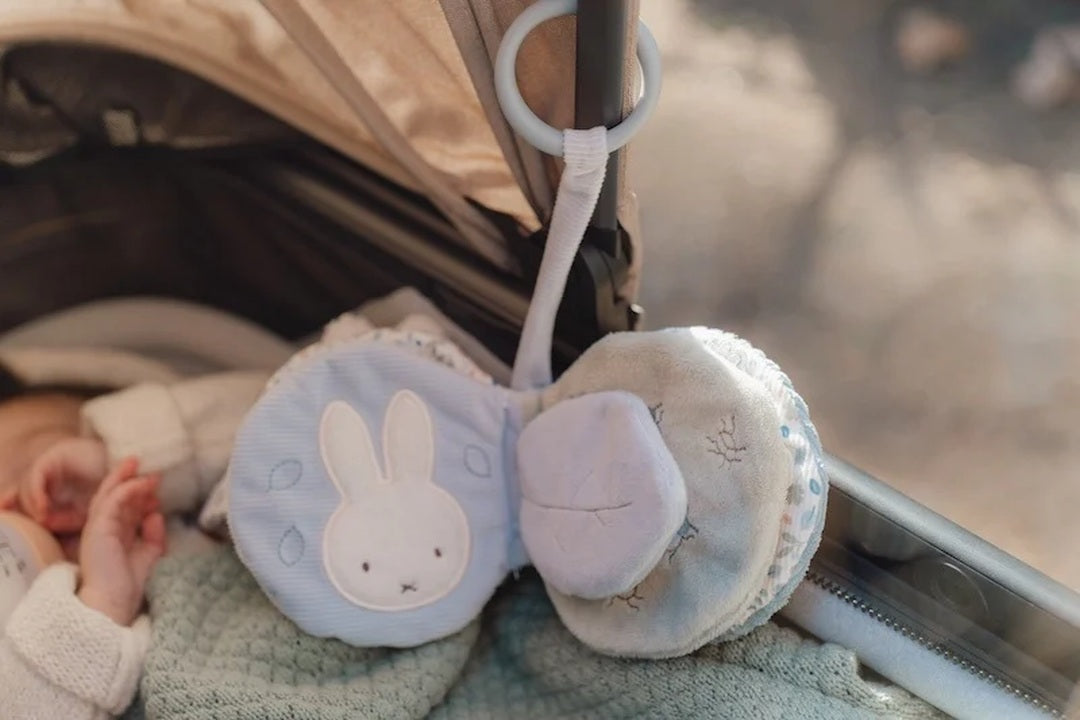 Buggybuch Lucky Leaves x Miffy