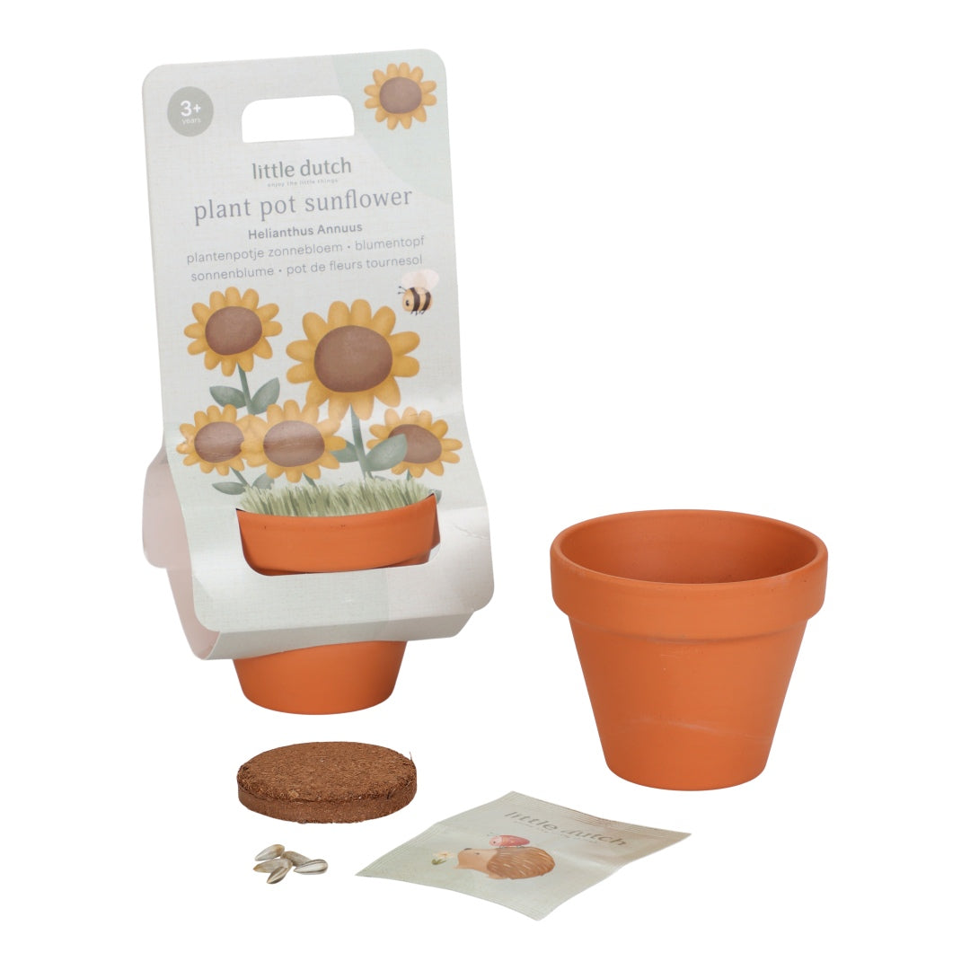 Pflanztopf Sonnenblume