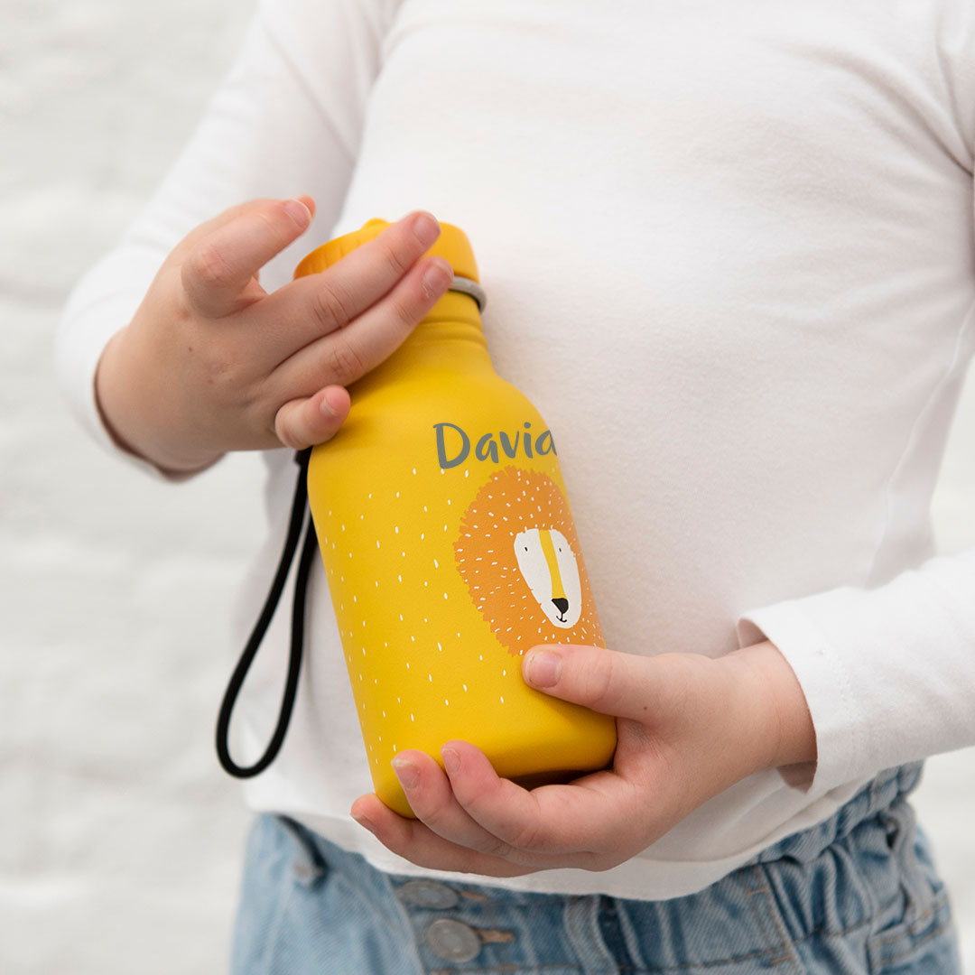 Trinkflasche 350 ml - Herr Löwe | Trixie