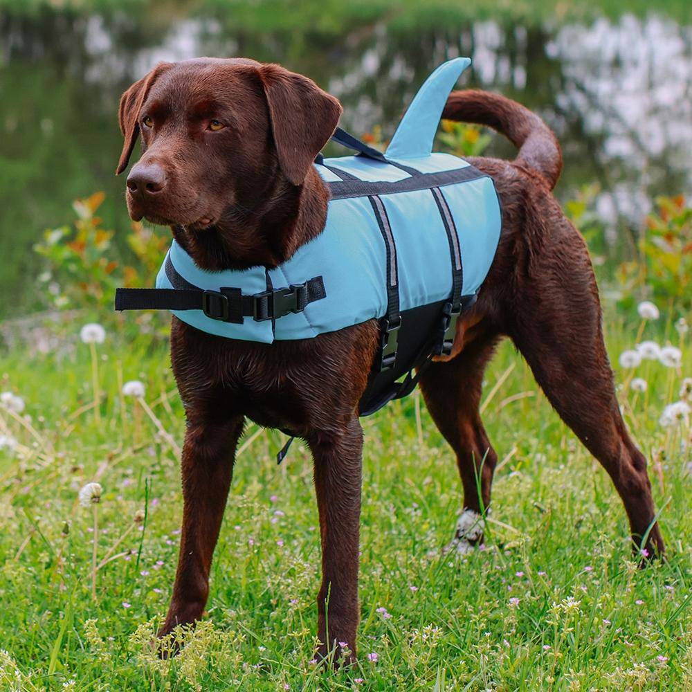Hunde Schwimmhilfe "Sharki" hellblau Größe: L - 40 cm | Nobby