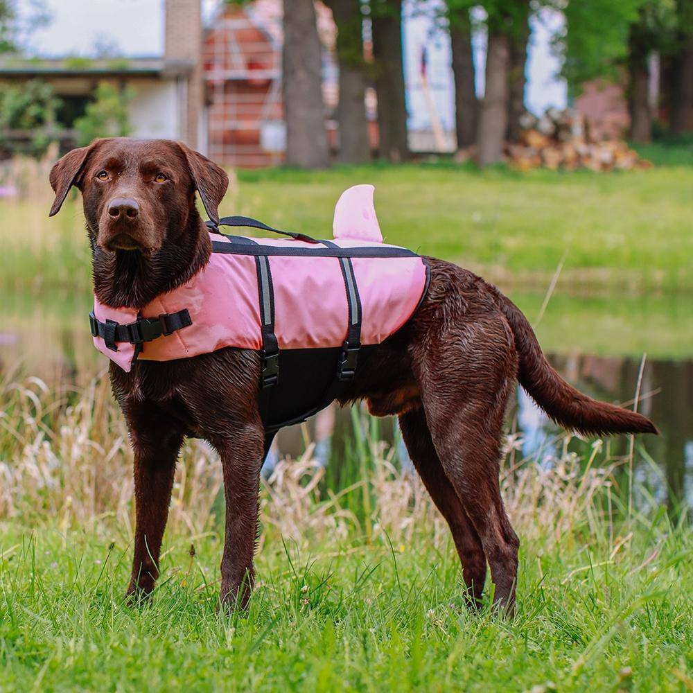 Dog swimming aid "Sharki" pink size: L - 40 cm | Nobby