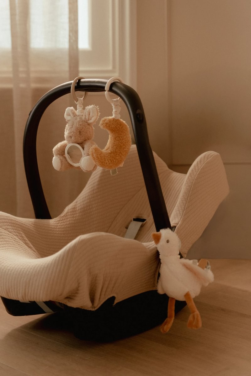 Activity Hanger Newborn Naturals GRS