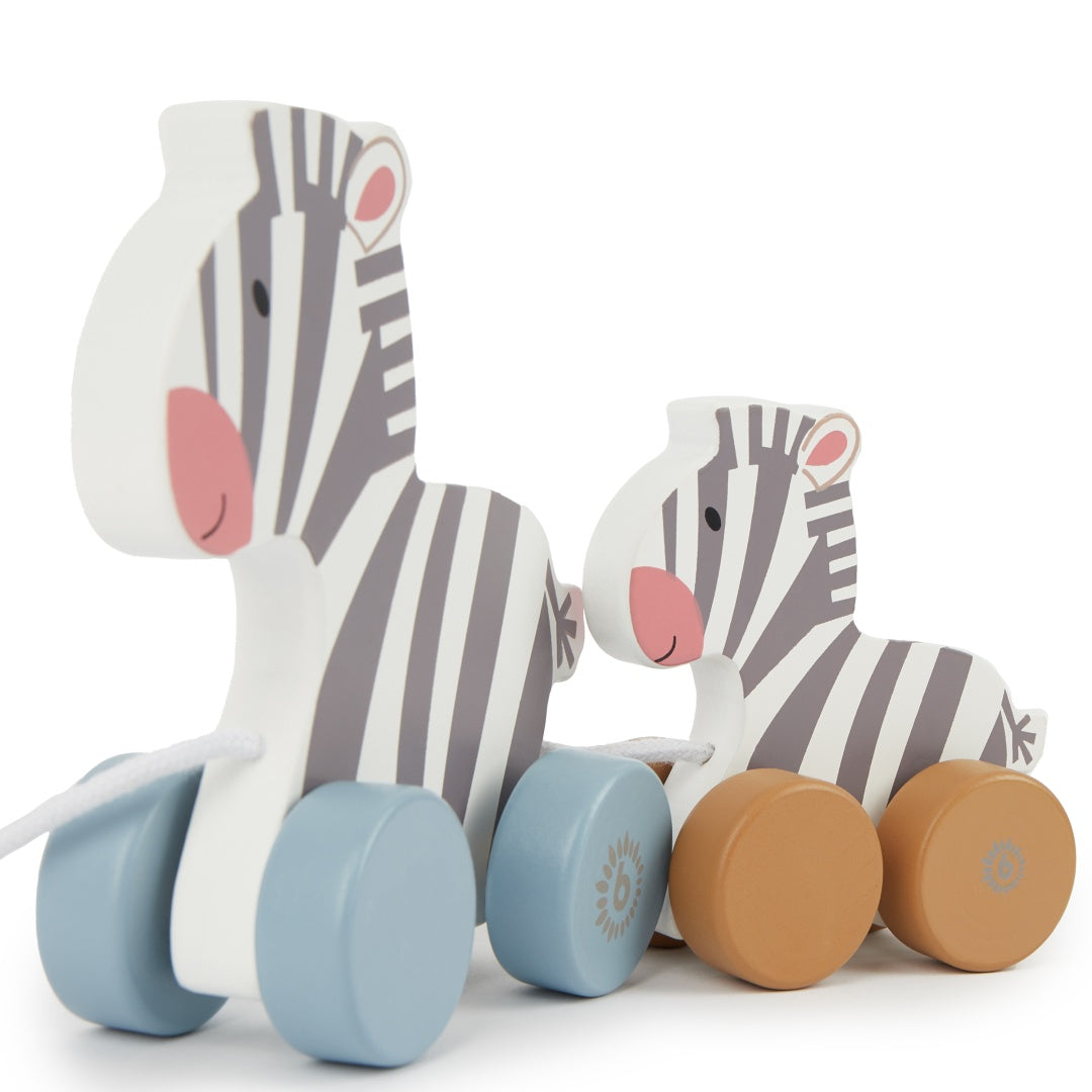 Trailing Zebras | bieco