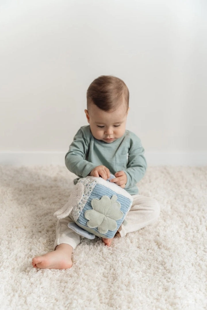 Activities Cube Soft Lucky Leaves x Miffy