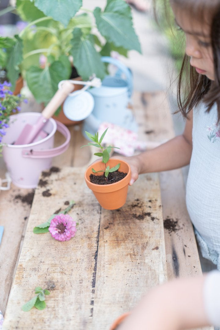 Bucket Fairy Garden for Kids