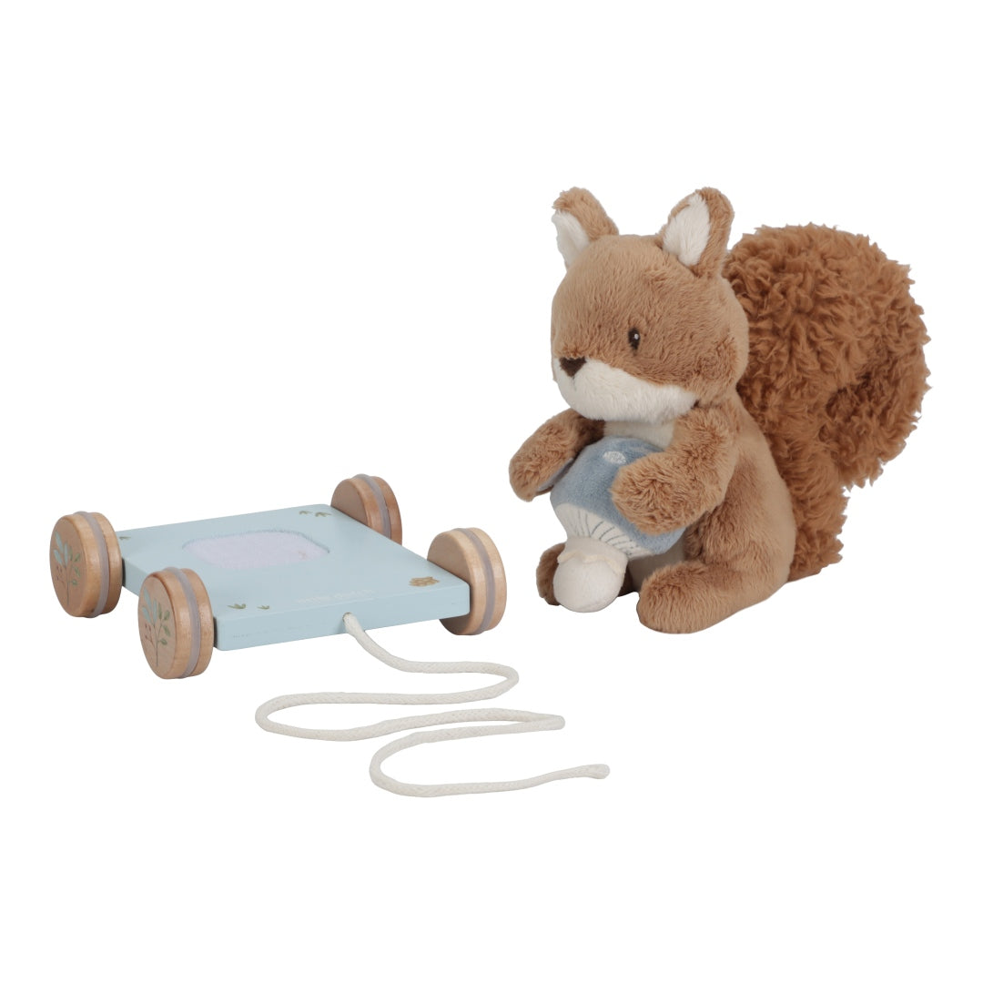 Tow animal squirrel