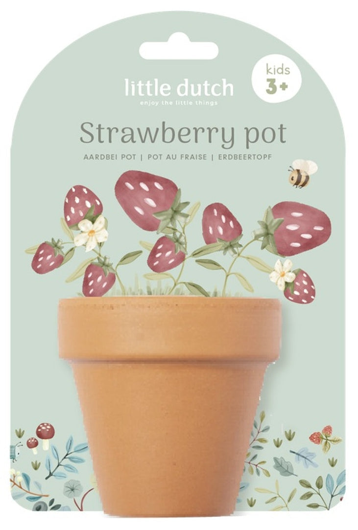 Strawberry plant pot