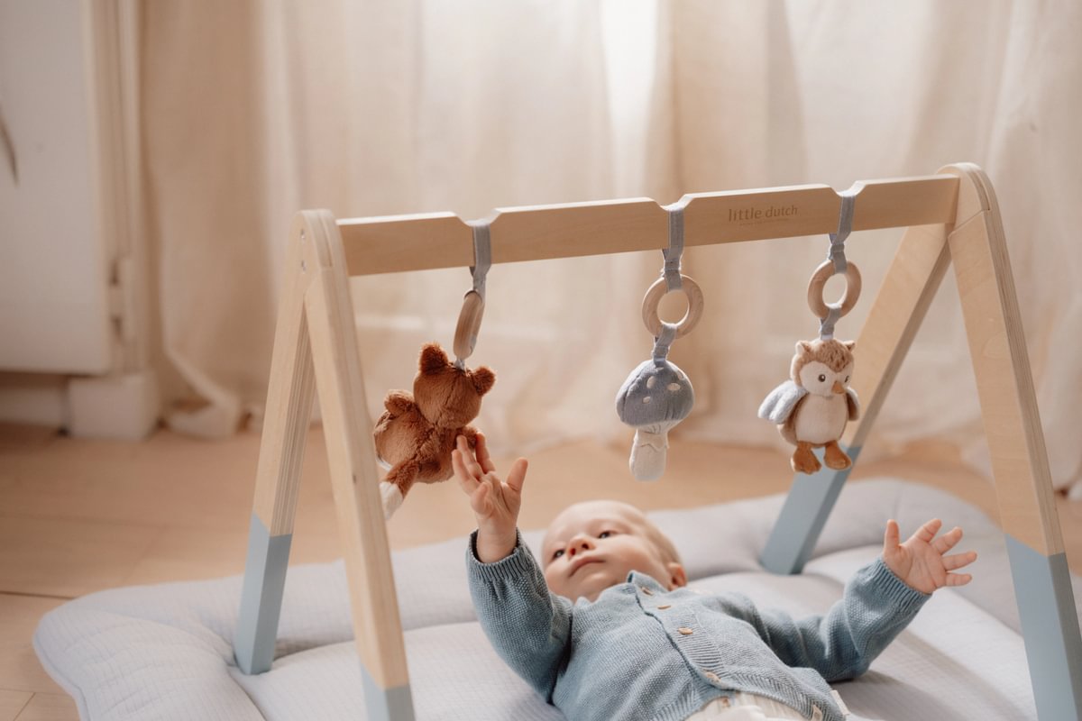 Play Gym Forest Friends – Motor Skills Toy for Babies