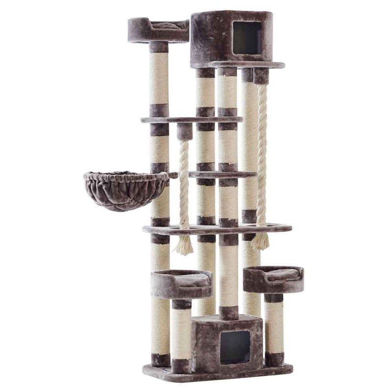 Nobby Kratzbaum Kyla Cappuccino, 80 × 50 × 209 cm